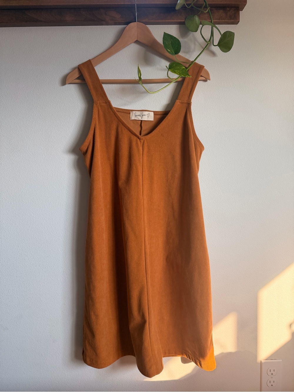 Women's Rust Orange Sleeveless A-Line Dress